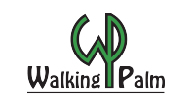 Walking Palm