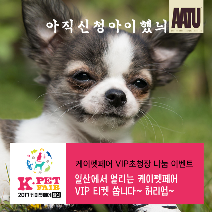 kpet_1711_popup.jpg