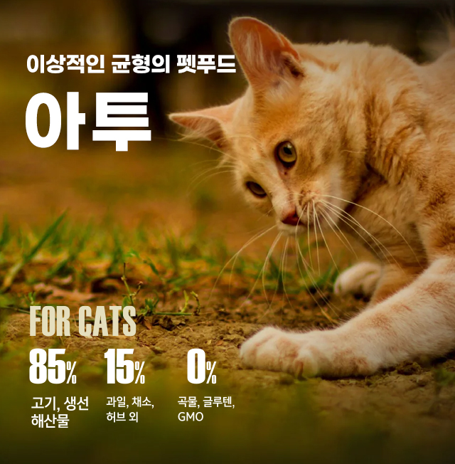 aatu_CAT_2406.jpg