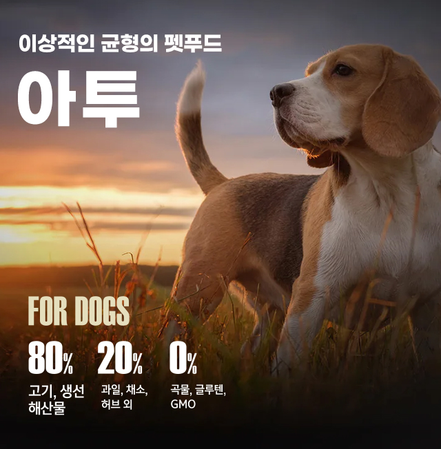 aatu_DOG_2406.jpg